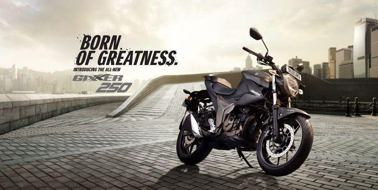 new-project.title-alts.detail.image-gallery.alt