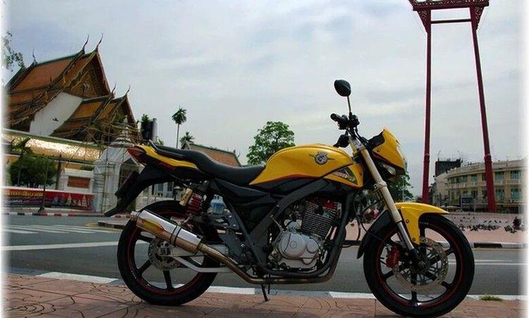 Tiger Boxer 250 RS