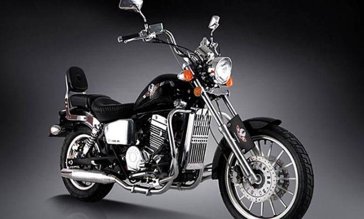 Regal Raptor Stellar